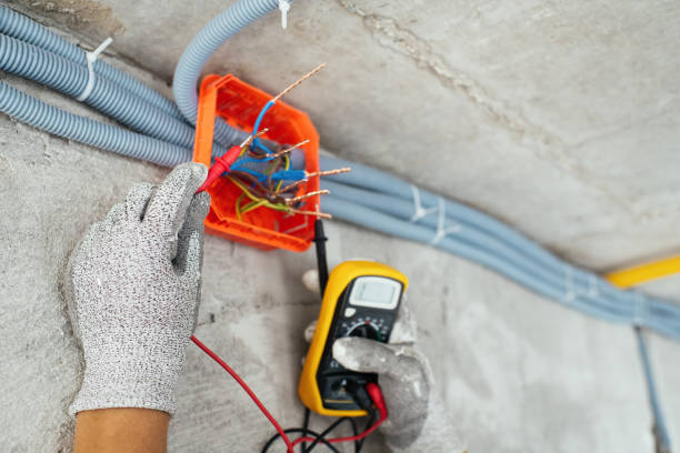 Best Electric Panel Repair  in Bradley, IL